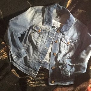 $50 WHBM NWOT Sz8 Cropped Denim Jacket